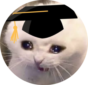 Crying Thumbs Up Cat